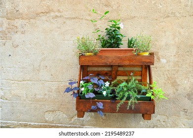 Decorative Floral And Aromatic Plants Composition On Rustic Wooden Shelf Hanged On Rustic Gray Wall