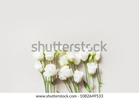 Similar – White flowers on white