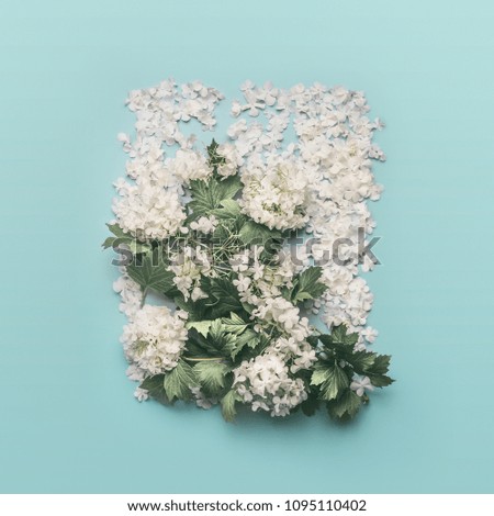 White Flowers Composing on light blue