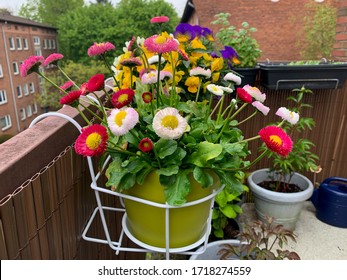 Balcon Fleuri Images Stock Photos Vectors Shutterstock