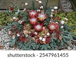 Decorative grave arrangement for Remembrance Sunday