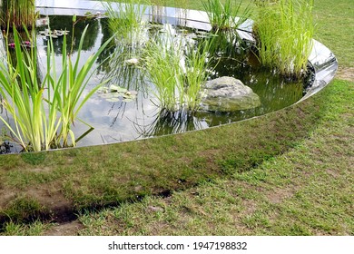 Decorative Ground Above Fish Pond In The Garden With Stainless Still Mirror Pool Side And PVC Or Canvas Bottom. Family Rest Area At Small Above Ground Designed Pond In Garden.