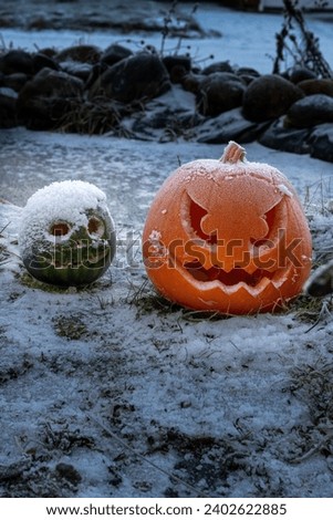 The decorative Halloween pumpkins covered with snow.