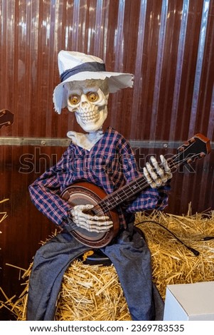 Decorative Halloween skeleton sitting on a hay bale playing a banjo.
