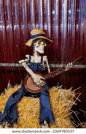 Decorative Halloween skeleton sitting on a hay bale playing a banjo.