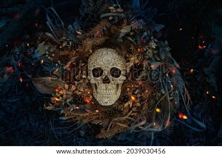 Decorative human skull on dark natural mystery background. magical esoteric ritual. symbol of Halloween, samhain sabbat. Mysticism, divination, wicca, occultism, Witchcraft concept. flat lay