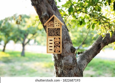 Decorative Insect house with compartments and natural components in a summer garden. Wooden insect house decorative bug hotel, ladybird and bee home for butterfly hibernation and ecological gardening.