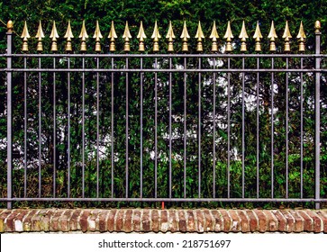 Decorative Iron Fence 