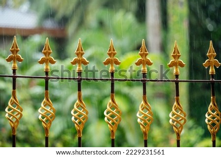 Decorative iron fence with golden spears against the background of greenery in summer.