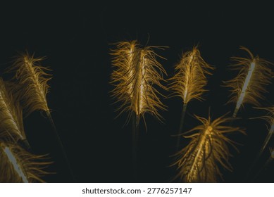 A decorative LED light installation in the shape of a fine strand of fluff that resembles a wheat plant. The warm yellow light contrasts with the pitch black background.