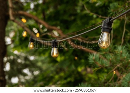 Decorative lighting with romantic string lights on a background of forest and trees on a sunless day