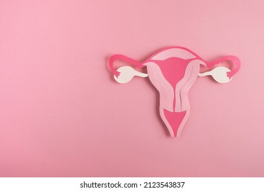 Dekorativer Uterus aus Papier auf rosafarbenem Hintergrund. Das Konzept der Gesundheit von Frauen, des Fortpflanzungssystems. Draufsicht, Kopienraum