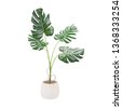 plant pot isolated