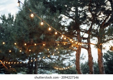 Decorative Outdoor String Lights Hanging On Tree In The Garden At Night Time