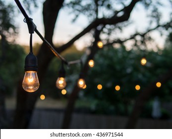 Decorative outdoor string lights hanging on tree in the garden at night time - Shutterstock ID 436971544
