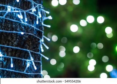 Decorative Outdoor String Lights Hanging On Tree In The Garden At Night Time, Decorative Christmas Lights