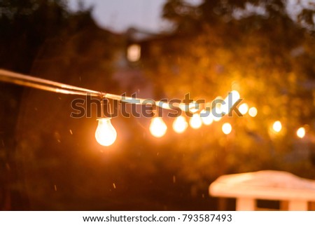 Decorative outdoor string lights hanging on the tree in the back yard at night time close, midges buzzing around on a summer evening