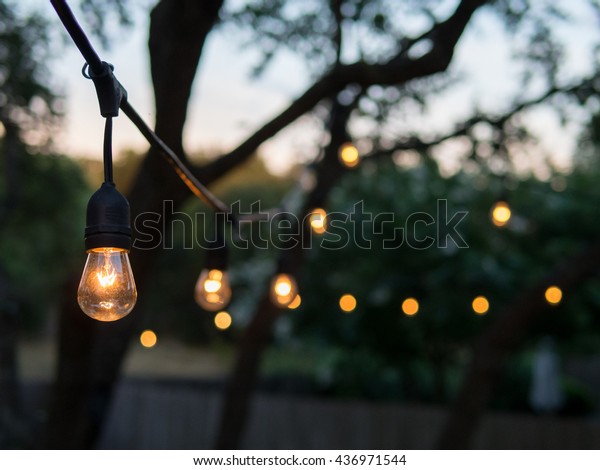 Decorative outdoor string lights hanging on tree in\
the garden at night\
time
