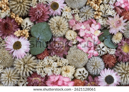 Decorative panel composed of dried wild plants, flowers and lichens, close up shot, abstract floral background