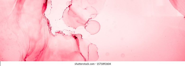 Decorative Pattern. Fluid Banner. Vibrant Canva. Red Bordo Decorative Pattern. Alcohol Ink Template. Watercolour Paint. Red Bordo Contemporary Picture.