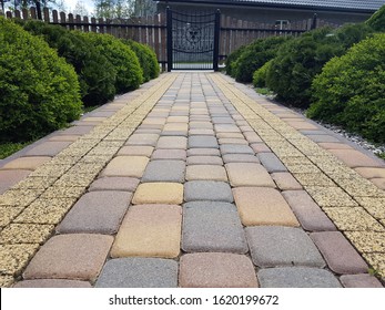 Decorative paving stones in the garden