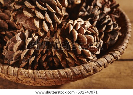 Decorative pine cones