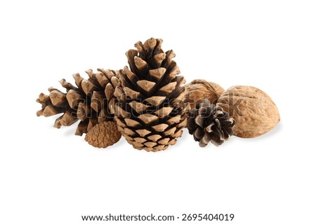 Decorative pine cones and walnuts perfect for crafts, on white, PNG