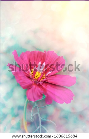 Similar – Image, Stock Photo flowery airfield Runway