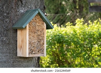 Decorative Pollinator Hotel Attached To A Tree Trunk Providing Habitat For Cavity-nesting Bees. Insect Hotel Attracting Solitary Bees And Bugs