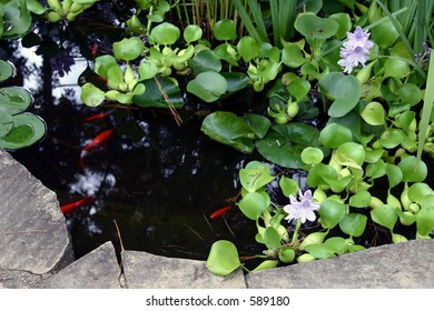 Decorative Pond