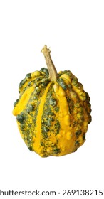 Decorative pumpkin isolated, with a bumpy surface, colored, elongated shape on a white background, Halloween decor isolated.