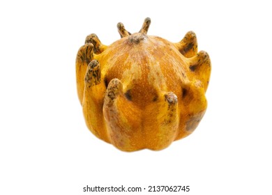 Decorative Pumpkin On White Background. Ugly Vegetables Are Edible. Reduce Organic Food Waste.