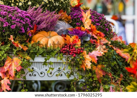 Decorative pumpkins from the Golden autumn festival in Moscow, near red square, the Kremlin. Halloween decor with various pumpkins, autumn vegetables and flowers. Harvest and garden decoration.