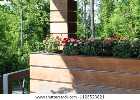 
decorative roses in rectangular pots on the street near the cafe