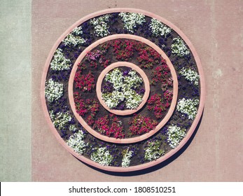 Decorative Round Flower Bed In Garden. Aerial Top View.