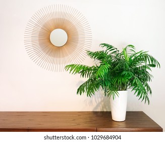 Decorative Round Mirror And Parlor Palm Plant On A Dresser. Modern Home Decor.