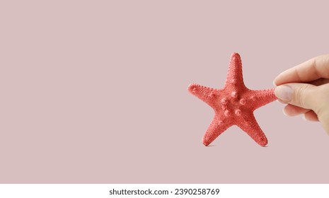 A decorative sea star is held in the hand. Light monochrome background. Vertical corner composition