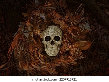 Decorative skull and dry autumn leaves on dark natural background. symbol of Halloween holiday, samhain sabbat. magic esoteric ritual. Mysticism, wicca, occultism, Witchcraft concept. top view - Shutterstock ID 2207918921