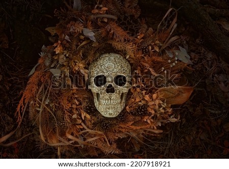 Decorative skull and dry autumn leaves on dark natural background. symbol of Halloween holiday, samhain sabbat. magic esoteric ritual. Mysticism, wicca, occultism, Witchcraft concept. top view