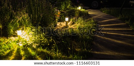 Similar – Image, Stock Photo Even with small flowers, a beautiful back can be delightful