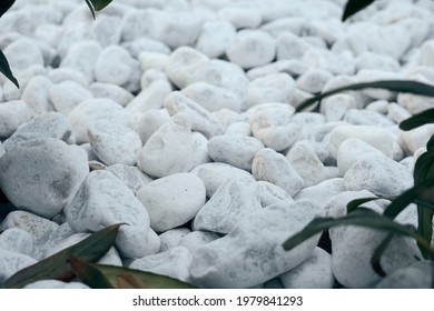 Decorative small white stone pebbles with green leaves. Background, texture, banner  - Shutterstock ID 1979841293