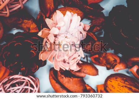 Similar – Autumn flowers and leaves decoration with bunch of flowers