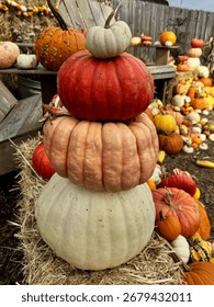 decorative stack of pumpkins outdoors Halloween decorations 