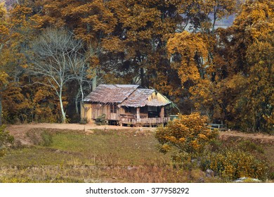 Decorative timbered log hut under a thatched roof in the autumn forest - Powered by Shutterstock