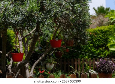 Decorative Tree with Hanging Vintage Lamps and Flower Pots