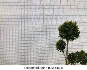 Outdoor Walls Images Stock Photos Vectors Shutterstock