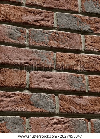 Decorative wall panels replicating brick surfaces displayed in a hardware supermarket highlighting practical design materials