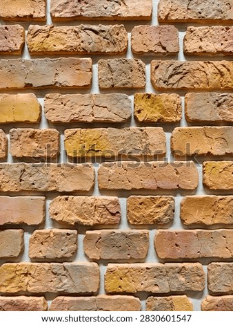 Decorative wall panels replicating brick textures shown in a construction store aisle for modern renovation and architectural design use
