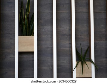 Decorative wooden wall with flower pots. Background. High quality photo