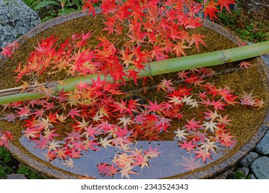 Decoretive of the stone and red leaf in the garden in Japan - Powered by Shutterstock